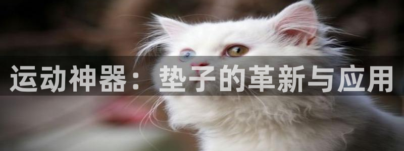 征途国际平台：运动神器：垫子的革新与应用