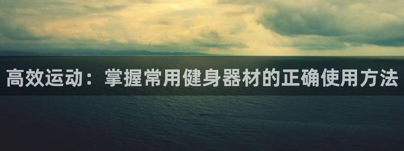 征途国际娱乐平台：高效运动：掌握常用健身器材的正确使