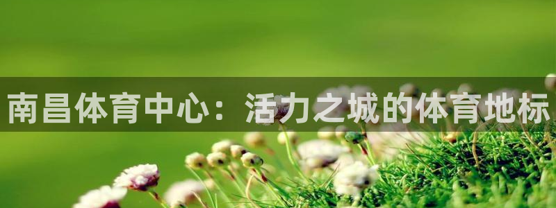 征途国际娱乐代理怎么样