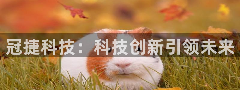 征途国际娱乐网站：冠捷科技：科技创新引领未来