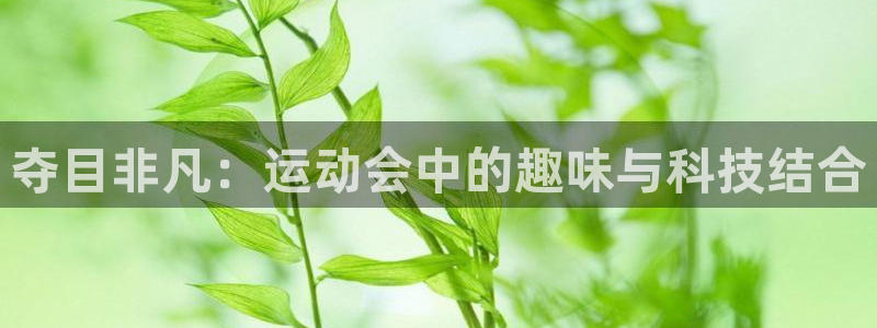 征途国际平台是正规平台吗安全吗