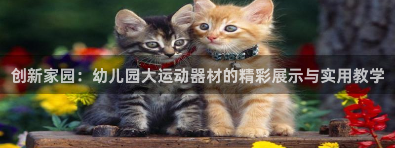 征途国际五金厂：创新家园：幼儿园大运动器材的精彩展示与实用教