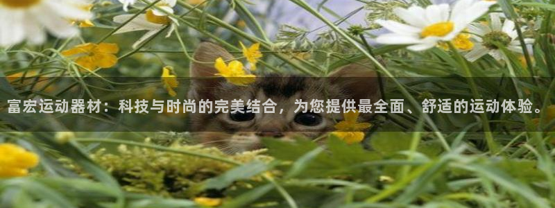 征途国际娱乐首页官网下载：富宏运动器材：科技与时尚的完美结合