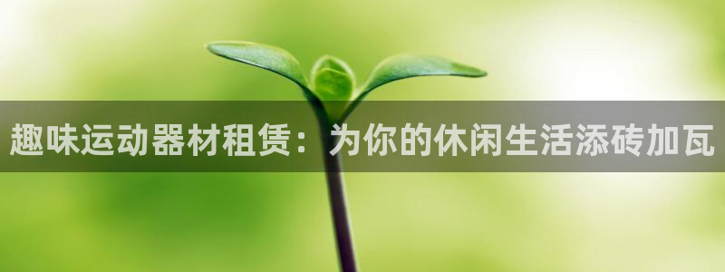 征途国际娱乐网站：趣味运动器材租赁：为你的休闲生活添砖加瓦