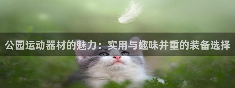 征途国际招商：公园运动器材的魅力：实用与趣味并重的装备选择