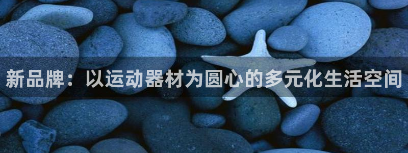 征途国际招商电话号码是多少号：新品牌：以运动器材为圆心的多元