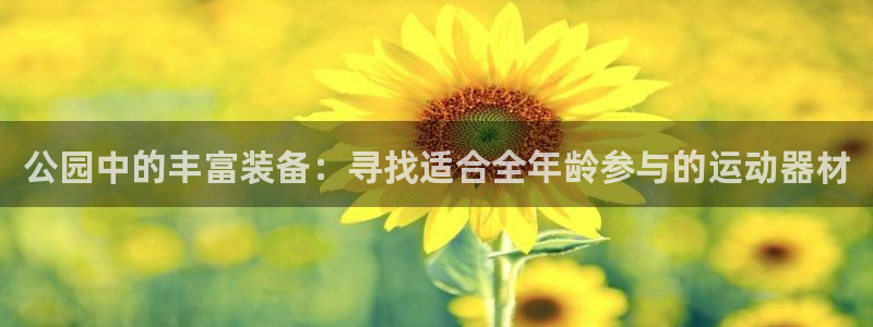 征途国际平台注册流程图：公园中的丰富装备：寻找适合全年龄参与