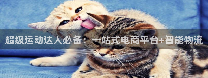 征途国际平台注册要钱吗是真的吗：超级运动达人必备：一站式电商