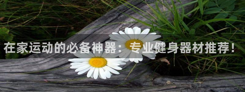 征途国际娱乐网站：在家运动的必备神器：专业健身器材推荐！