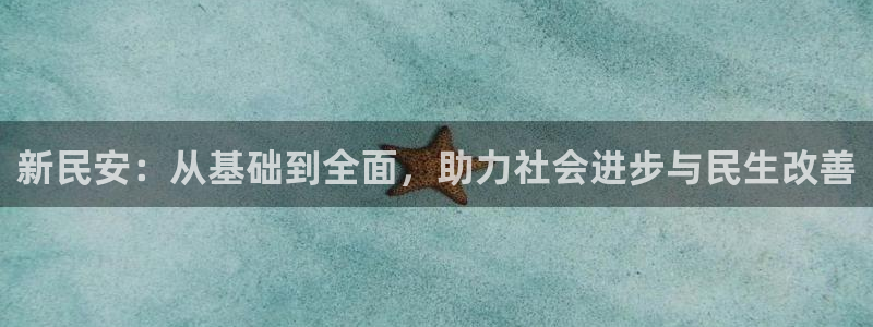 征途国际平台注册要钱吗安全吗：新民安：从基础到全面，
