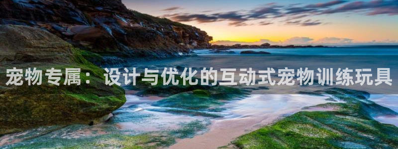 征途国际：宠物专属：设计与优化的互动式宠物训练玩具