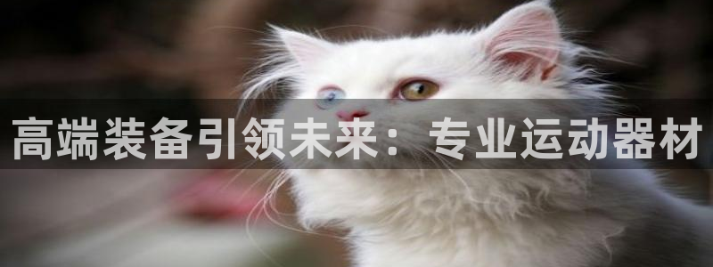 征途国际招商电话是多少啊：高端装备引领未来：专业运动器材