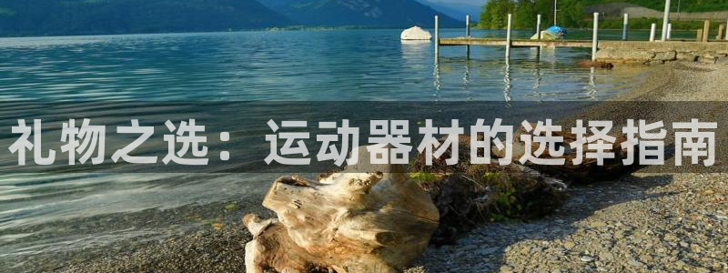 注册征途国际：礼物之选：运动器材的选择指南