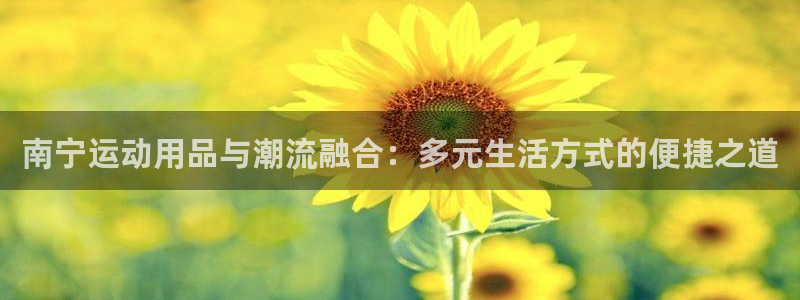 征途国际招商电话是多少啊：南宁运动用品与潮流融合：多元生活方