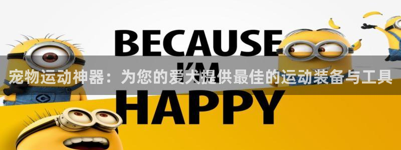 征途国际集团简介：宠物运动神器：为您的爱犬提供最佳的