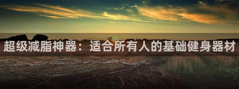 征途国际软件：超级减脂神器：适合所有人的基础健身器材